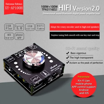 AP100H Sini Audio 100W+100W HIFI Version2.0 Dimensiju Skaņu Bluetooth Digitālo Jaudas Pastiprinātāju Valdes TPA3116