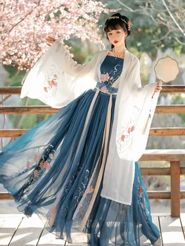 Sieviešu Tradicionālo Ķīniešu Hanfu Tērpu Lady Han Dynasty Kleita Izšuvumi Wei JIN Dinastijas Puses Parādīt Deju Apģērbu