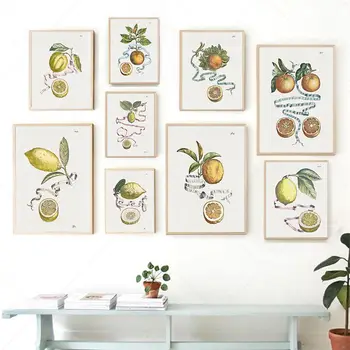 Vintage Citrus Botāniskais Mākslas Izdrukas Antīko Ziedu Augļu Sienas Mākslas Audekla Glezna, Akvarelis, Plakāti viesistaba, Mājas Dekoru