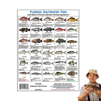 Zvejnieku Identifikācijas Kartes Zivju Sugu Rokasgrāmata Ar Magnētiem, Florida Sālsūdens Zivju Identifikācijas Kartes Pludmales Doks Laivu
